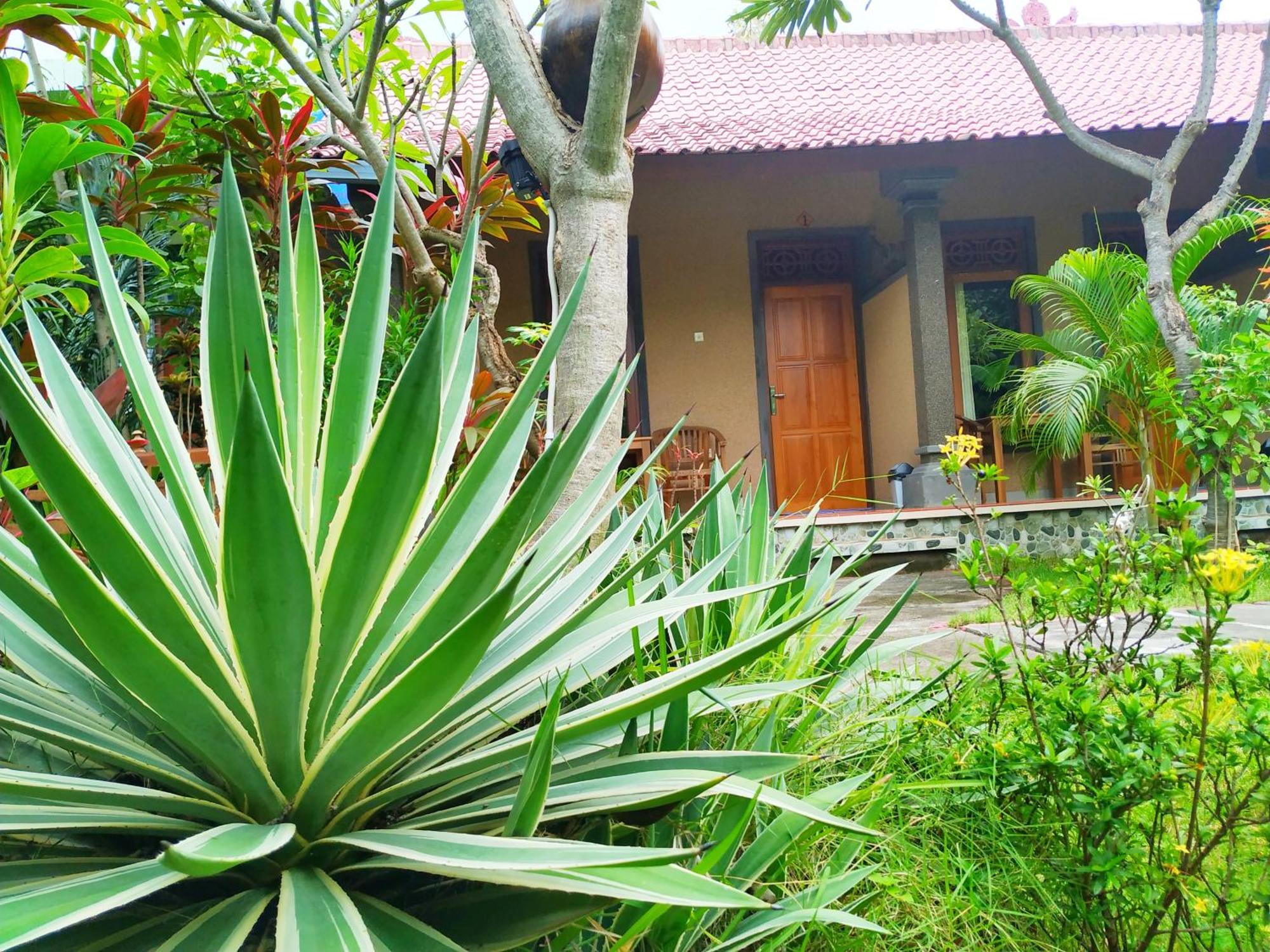 Asih Homestay Pemuteran Exterior foto